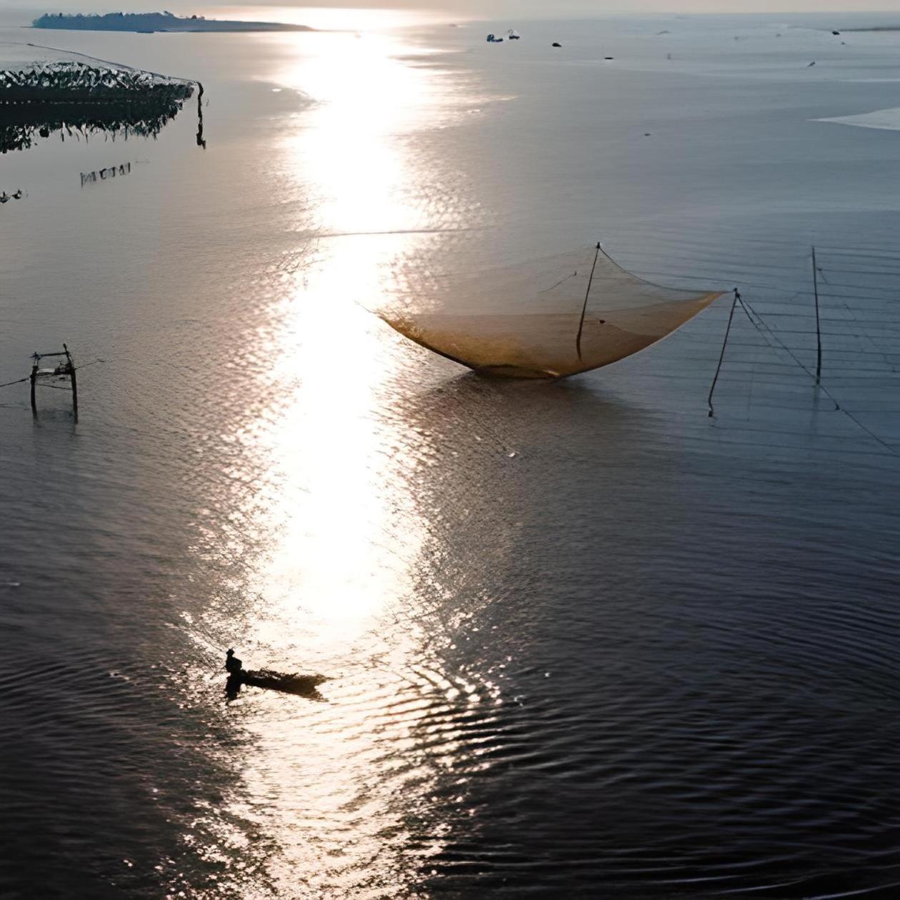 Cua Dai Beach Homestay Hoi An Eksteriør bilde